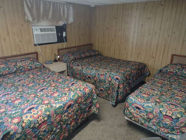 Imagen de la habitación del Hotel Davis Motel. Foto 20