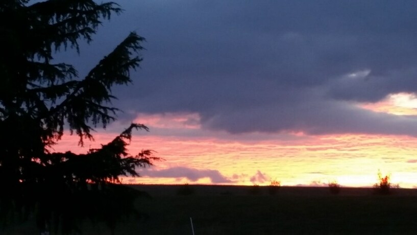 Imagen general del Hotel Day Dream Cottage. Foto 2