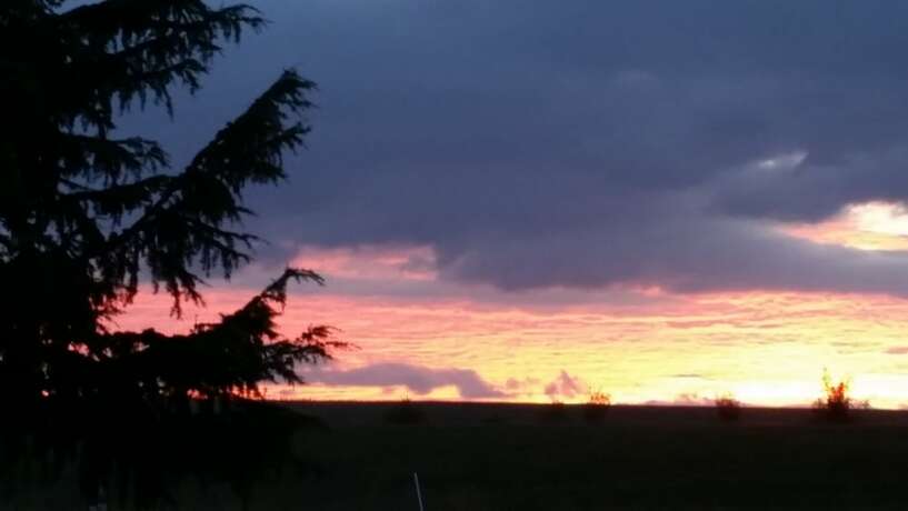 Imagen general del Hotel Day Dream Cottage. Foto 7