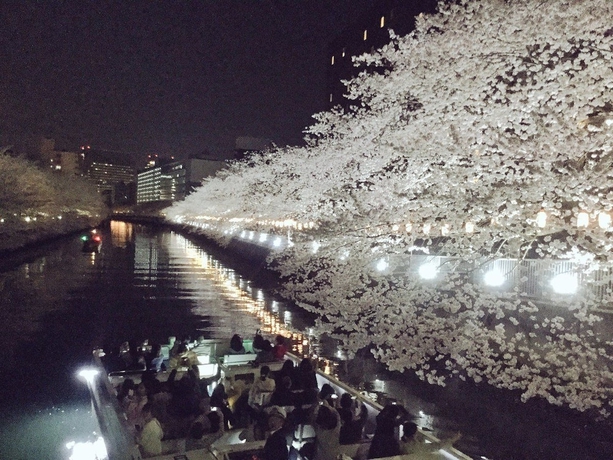 Imagen general del Hotel Day Nice Tokyo. Foto 2