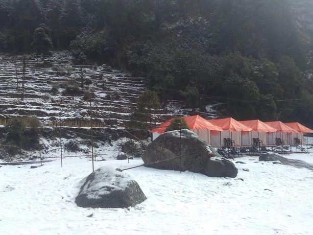 Imagen general del Hotel Day2Day Camping. Foto 2