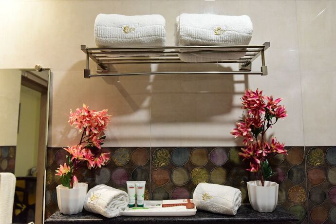 Imagen general del Hotel Dayal Shree Paradise. Foto 8