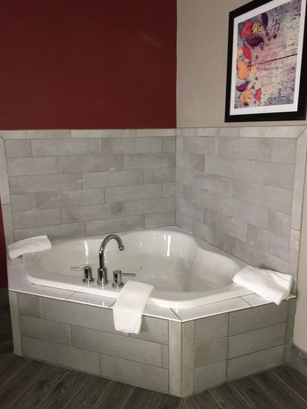 Imagen de la habitación del Hotel Days Inn And Suites By Wyndham Murfreesboro. Foto 11