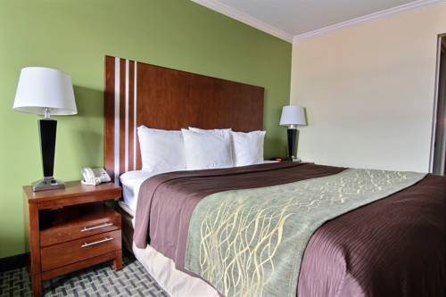 Imagen de la habitación del Hotel Days Inn By Wyndham Austintown. Foto 7