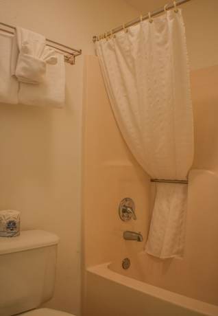 Imagen de la habitación del Hotel Days Inn By Wyndham Branson Near Theatre District. Foto 5