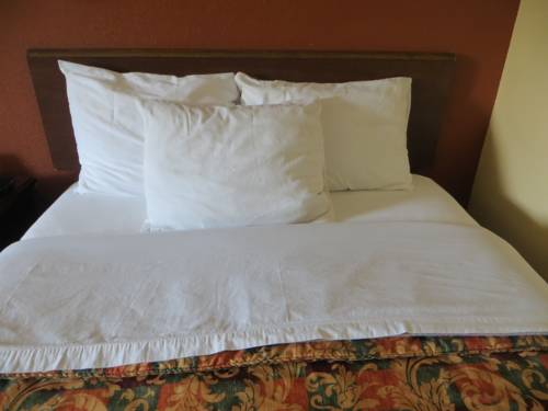 Imagen de la habitación del Hotel Days Inn By Wyndham Canton, Canton. Foto 11