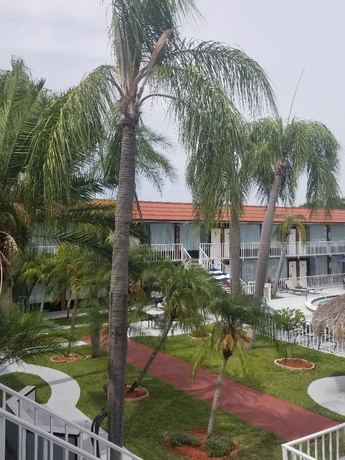 Imagen general del Hotel Days Inn By Wyndham Clearwater/gulf To Bay. Foto 2