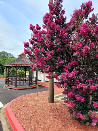 Imagen general del Hotel Days Inn By Wyndham Clemson. Foto 5