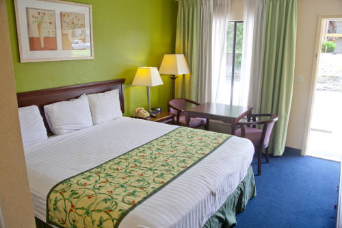 Imagen de la habitación del Hotel Days Inn By Wyndham Defuniak Springs. Foto 7