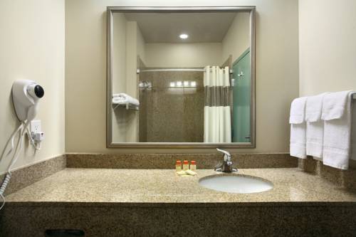 Imagen de la habitación del Hotel Days Inn By Wyndham Downtown St. Louis. Foto 9