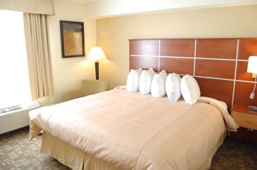 Imagen de la habitación del Hotel Days Inn By Wyndham Grande Prairie. Foto 6
