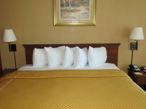 Imagen de la habitación del Hotel Days Inn By Wyndham Kansas City. Foto 6