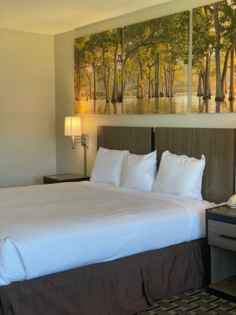 Imagen de la habitación del Hotel Days Inn By Wyndham Monroe. Foto 6