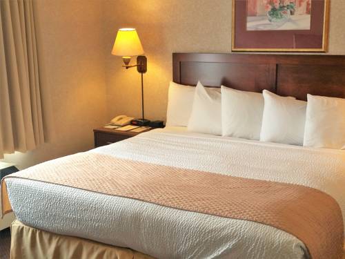 Imagen de la habitación del Hotel Days Inn By Wyndham Ottawa Airport. Foto 9