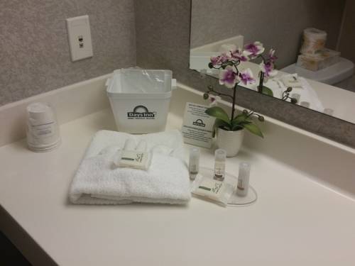 Imagen de la habitación del Hotel Days Inn By Wyndham Ottawa Airport. Foto 12