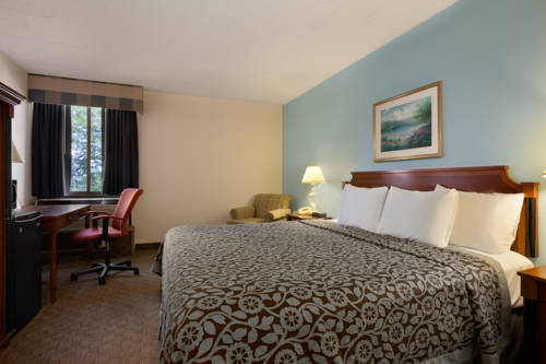 Imagen de la habitación del Hotel Days Inn By Wyndham Reading Wyomissing. Foto 4