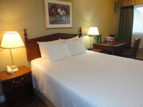 Imagen de la habitación del Hotel Days Inn By Wyndham Vernon. Foto 2