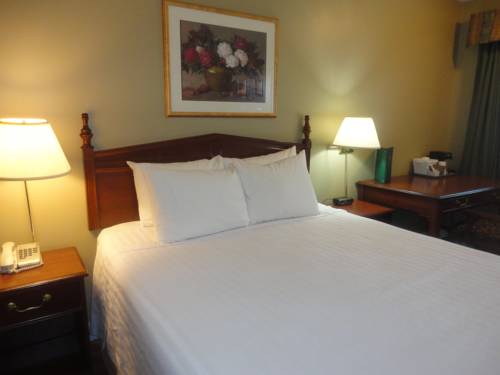 Imagen de la habitación del Hotel Days Inn By Wyndham Vernon. Foto 4