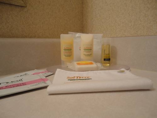 Imagen de la habitación del Hotel Days Inn & Conference Centre by Wyndham Prince Albert. Foto 7