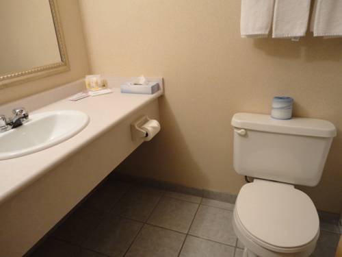 Imagen de la habitación del Hotel Days Inn & Conference Centre by Wyndham Prince Albert. Foto 8