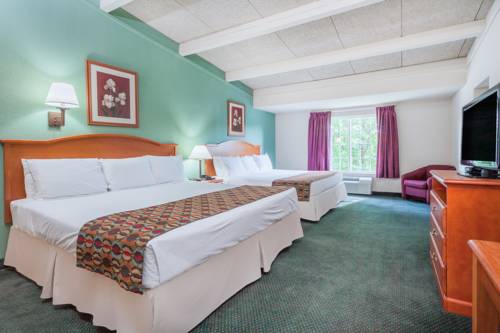 Imagen de la habitación del Hotel Days Inn & Suites By Wyndham Lexington. Foto 11