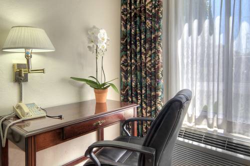 Imagen de la habitación del Hotel Days Inn & Suites by Wyndham. Foto 4