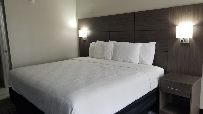 Imagen de la habitación del Hotel Days Inn and Suites By Wyndham Charleston Airport West. Foto 7