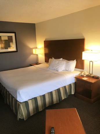 Imagen de la habitación del Hotel Days Inn and Suites By Wyndham Mobile. Foto 11