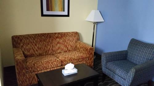 Imagen de la habitación del Hotel Days Inn and Suites By Wyndham Peachtree Corners/norcross. Foto 8