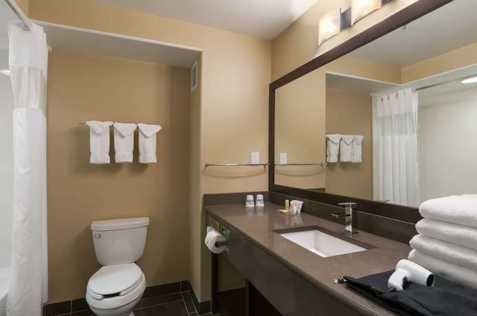 Imagen de la habitación del Hotel Days Inn and Suites by Wyndham Brandon. Foto 13