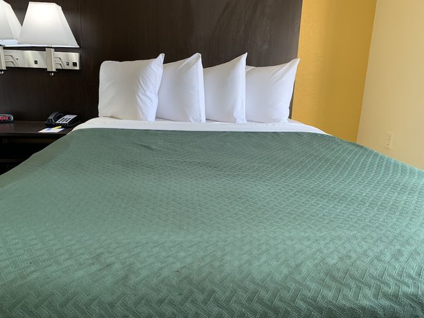 Imagen de la habitación del Hotel Days Inn and Suites by Wyndham Tampa/Raymond James Stadium. Foto 5