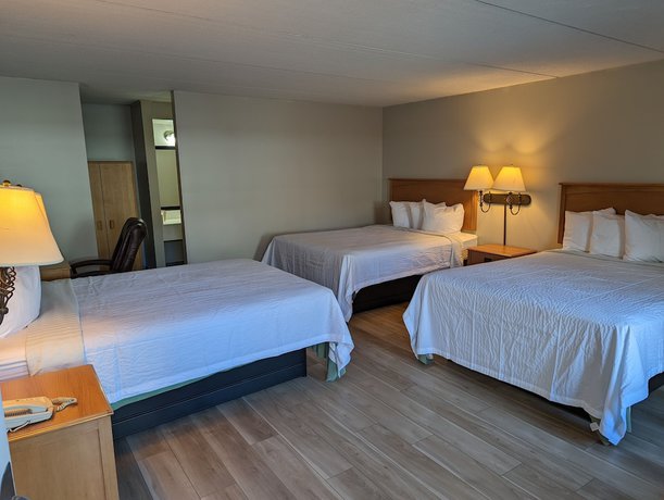 Imagen de la habitación del Hotel Days Inn by Wyndham Birch Run. Foto 5