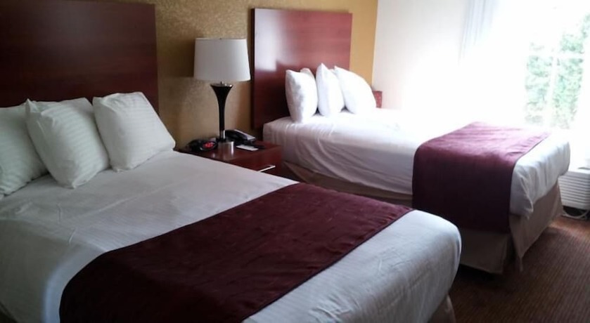 Imagen de la habitación del Hotel Days Inn by Wyndham Indiana PA Near IUP. Foto 12
