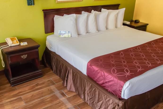 Imagen de la habitación del Hotel Days Inn by Wyndham Nashville Saint Thomas West Hospital. Foto 4