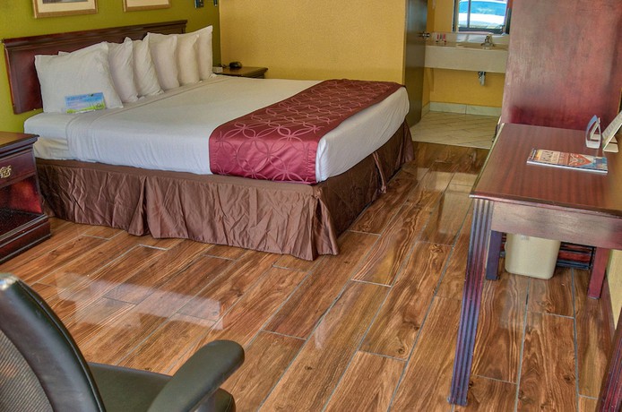 Imagen de la habitación del Hotel Days Inn by Wyndham Nashville Saint Thomas West Hospital. Foto 5