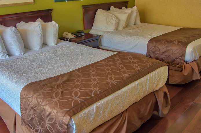 Imagen de la habitación del Hotel Days Inn by Wyndham Nashville Saint Thomas West Hospital. Foto 7