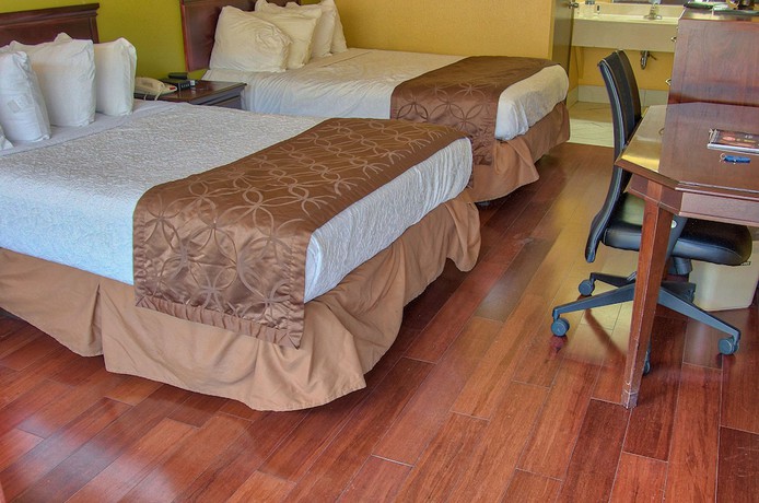 Imagen de la habitación del Hotel Days Inn by Wyndham Nashville Saint Thomas West Hospital. Foto 10