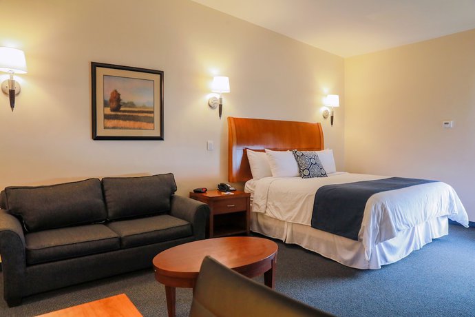 Imagen de la habitación del Hotel Days Inn by Wyndham Piedras Negras. Foto 8