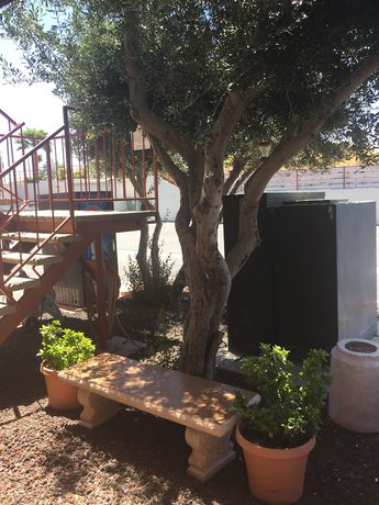 Imagen de los exteriores del Hotel Days Inn by Wyndham Victorville, Victorville. Foto 13