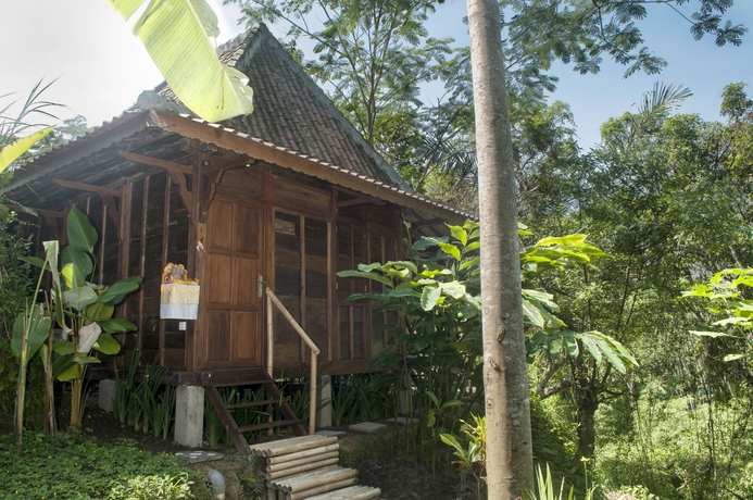 Imagen de la habitación del Hotel Dd Ubud Villa. Foto 7
