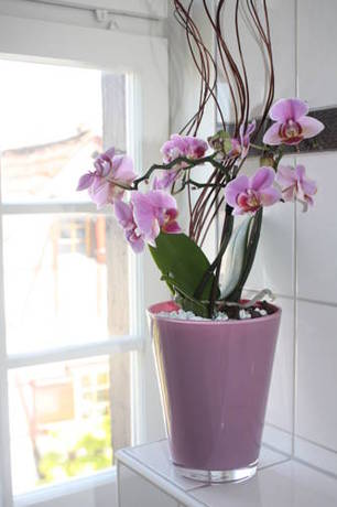 Imagen de la habitación del Hotel De Charme Römerhof. Foto 6