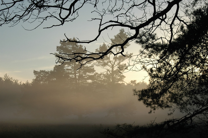 Imagen general del Hotel De Echoput. Foto 2