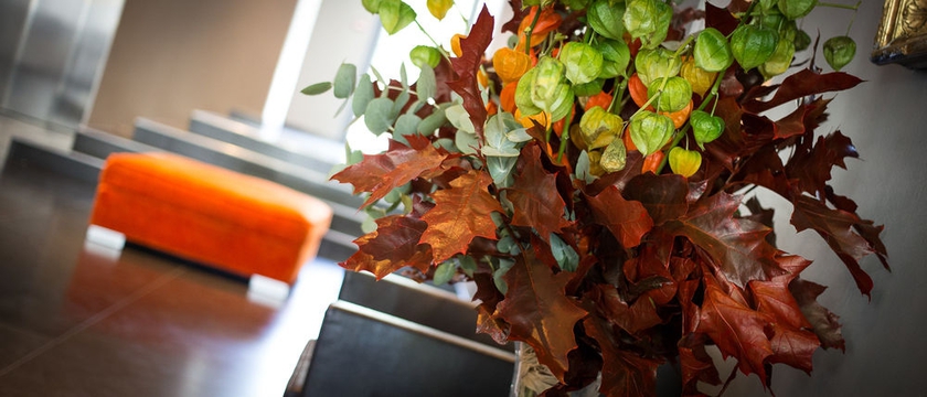 Imagen de los interiores del Hotel De France, Valencia de Francia. Foto 15