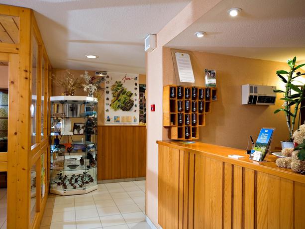 Imagen de los interiores del Hotel De La Haute-Montagne. Foto 8