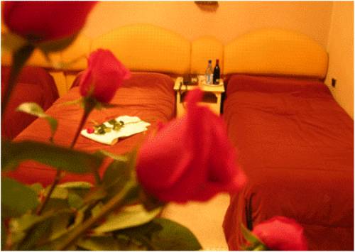 Imagen de la habitación del Hotel De La Paix, Fez. Foto 6