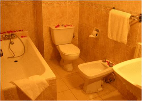 Imagen de la habitación del Hotel De La Paix, Fez. Foto 8