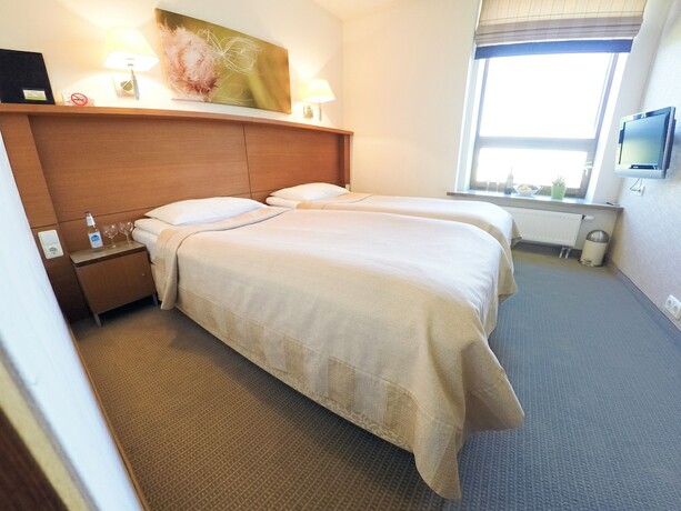 Imagen general del Hotel De Lita. Foto 5