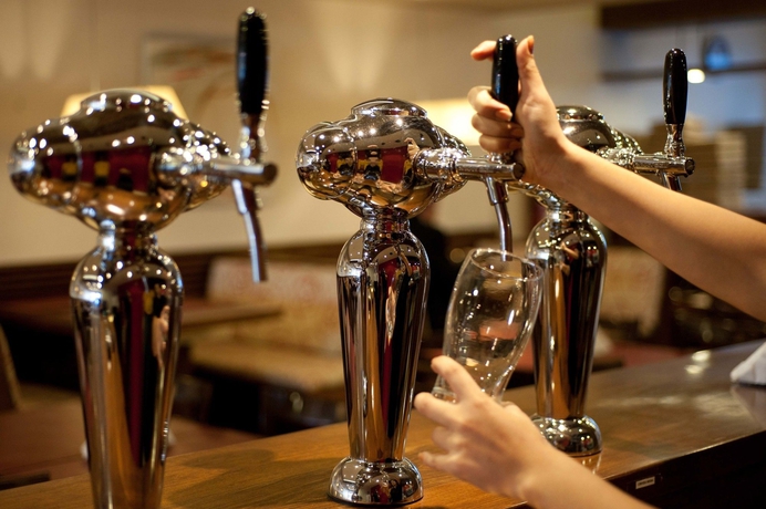 Imagen del bar/restaurante del Hotel De Los Andes. Foto 9