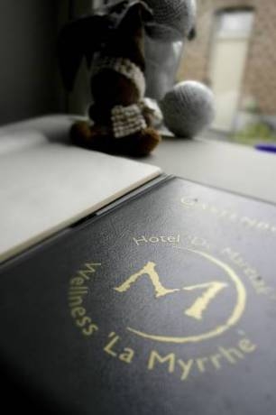 Imagen de los interiores del Hotel De Maretak. Foto 7