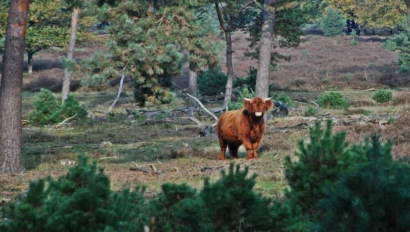Imagen general del Hotel De Molenhoek - Nijmegen. Foto 3